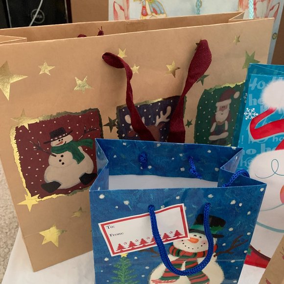 Mix of 7 Paper Gift Bags for Gifting - Picture 7 of 8